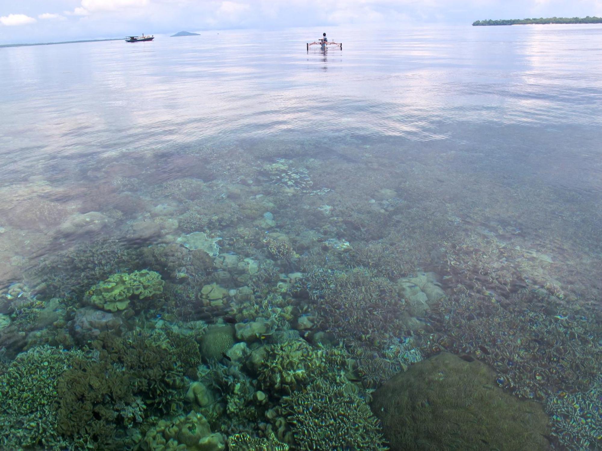 Bunaken Cha Cha Nature Resort Exterior photo